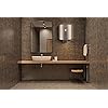 Racold Platinum NXT Water Heater