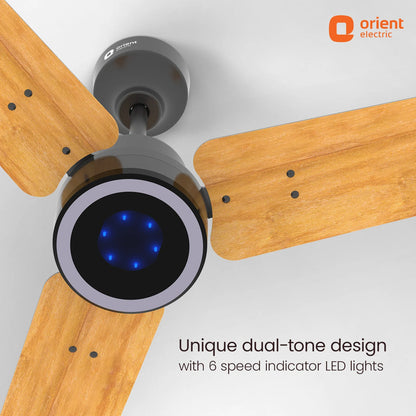 Orient Ecotech Prime CX 5 Star BLDC Ceiling Fan