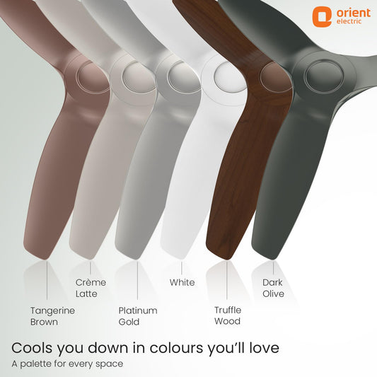 Orient Electric 1230 mm Aeroquiet Neu BLDC Ceiling fan