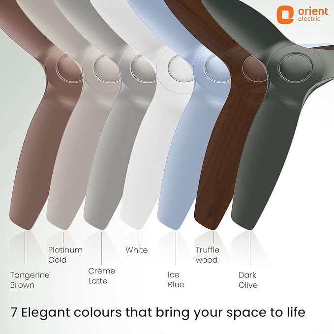 Orient Electric 1230 mm Aeroquiet Neu BLDC Ceiling fan