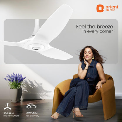 Orient Electric Aeroquiet 1200 mm Noiseless Premium Ceiling Fan
