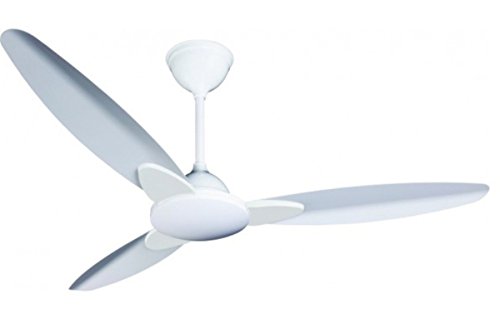 Crompton Highspeed Senorita Ceiling Fan