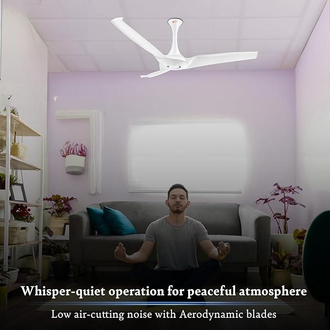 Orient Electric’s 1320 mm Aerostorm ceiling fan